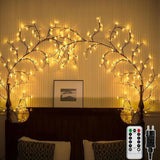 Homegoals - 2.3m LED Vine Fairy Lights with Remote Control & 8 Modes 1