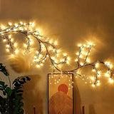Homegoals - 2.3m LED Vine Fairy Lights with Remote Control & 8 Modes 3