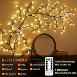 Homegoals - 2.3m LED Vine Fairy Lights with Remote Control & 8 Modes 7