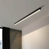Scandinavian Style Modern LED Ceiling Light - Elegant & Functional 1