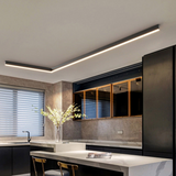 Scandinavian Style Modern LED Ceiling Light - Elegant & Functional 2