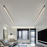 Scandinavian Style Modern LED Ceiling Light - Elegant & Functional 3