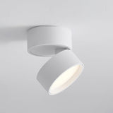Adjustable LED Ceiling Light Fixture - Warm White, Stylish Design, Compact Size 9