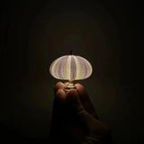 Creative DIY Sea Urchin Night Light - Vintage Style Lamp Kit 4