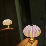 Creative DIY Sea Urchin Night Light - Vintage Style Lamp Kit 7