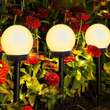 EcoGlow - Solar Garden Lights for Outdoor Waterproof Illumination 1