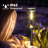 EcoGlow - Solar Lantern for Outdoor Ambience & Garden Lighting 7
