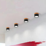 Nordic Cylinder LED Ceiling Lights - Modern Hallway Lighting Solution 7