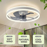 Skylight - Smart Remote Control Ceiling Fan with LED Lighting 4