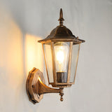 Vintage-Style Outdoor Garden Wall Light with Clear Glass Shade 3